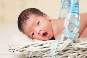 Melbourne Newborn Photographer