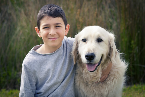 Losing a Pet. last photoshoot Oscar dog photography sick melbourne