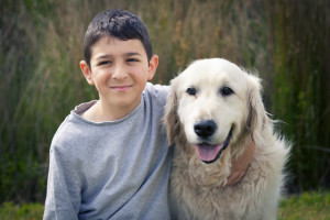 last photoshoot Oscar dog photography sick melbourne