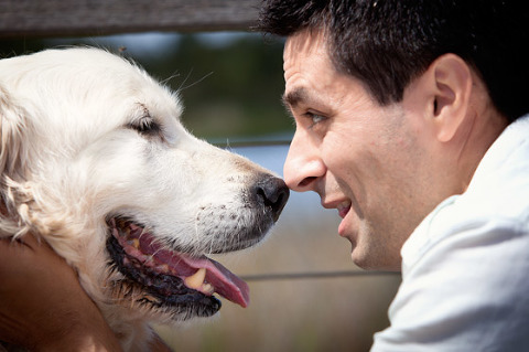 Losing a Pet. last photoshoot Oscar dog photography sick melbourne