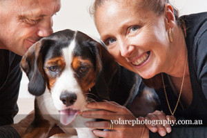 Beaglier Family Dog Photography Melbourne