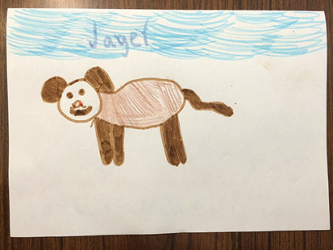 Pet Loss. Chocolate Labrador Importance of Pet Dog Photography Family Final Words Card