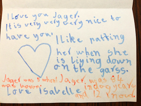 Pet Loss. Chocolate Labrador Importance of Pet Dog Photography Family Final Words Card