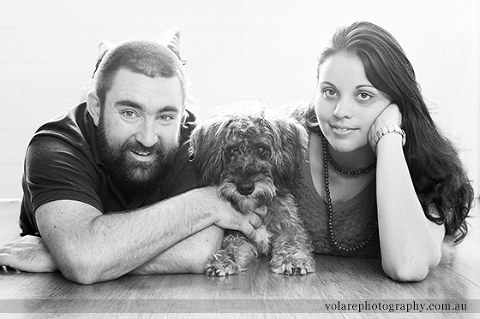 Couples photography. Schnoodle poodle schnauzer. dog photography bentleigh studio