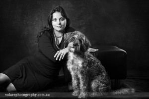 Schnoodle Poodle schnauzer dog studio photography portrait photography
