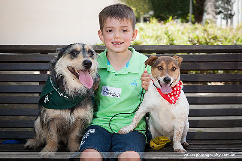 Kid with two dogs Victorian Dog Rescue Group Caulfield Park Christmas Party