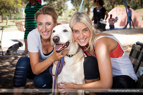 Adopters Labrador Victorian Dog Rescue Group Caulfield Park Christmas Party