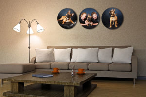 Dog Photographs hnging on the wall of family home