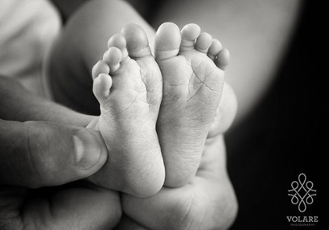 Black and White newborn Photography little feet melbourne. Newborn photos