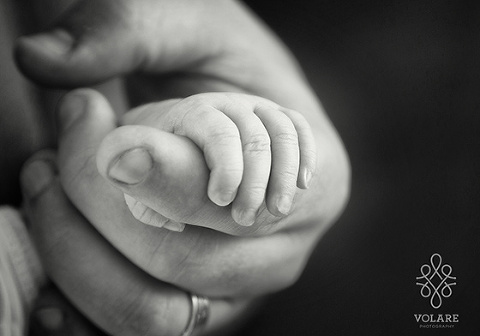 Black and White newborn Photography little hands melbourne. Newborn photos