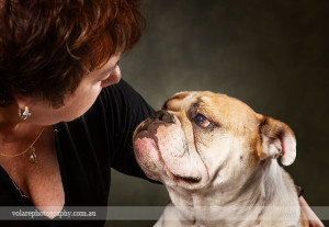 Lady British Bulldog Dog Photographer Melbourne Love