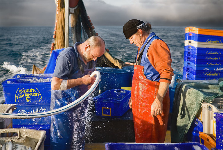 Melbourne Commercial Photographer Bentleigh Commercial Fishing Port Phillip Bay