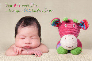 Different newborn posing photography melbourne