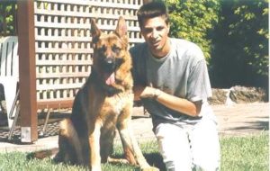 simba-german shepherd