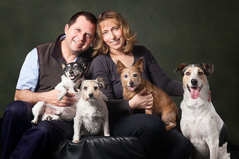 Dog photography in studio multiple dogs fur family portraits