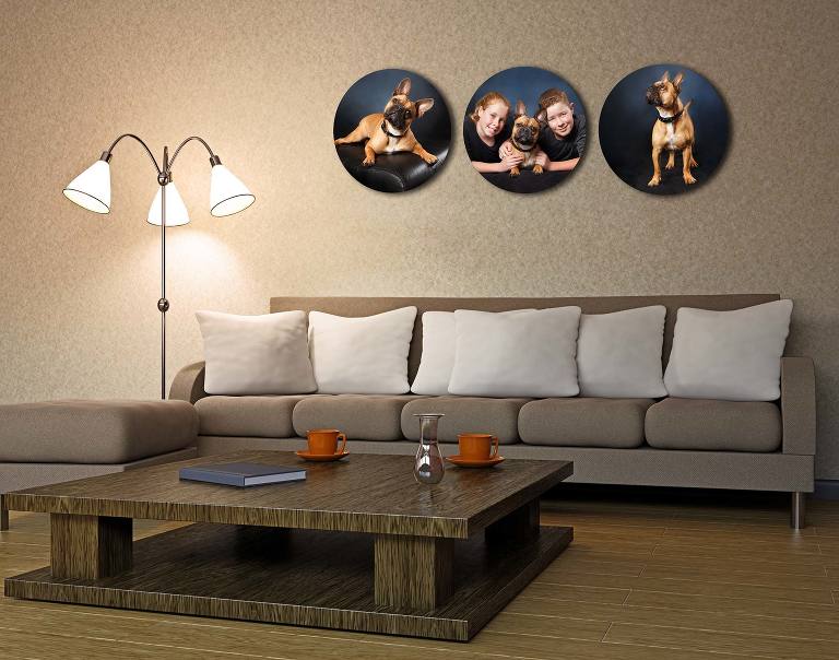 Wooden prints of dog portraits on wall above couch