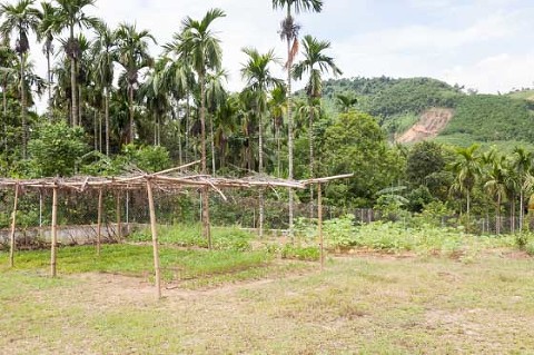 OGCDC Organic Farm for youths with disabilities Nam Dong Hue Vietnam