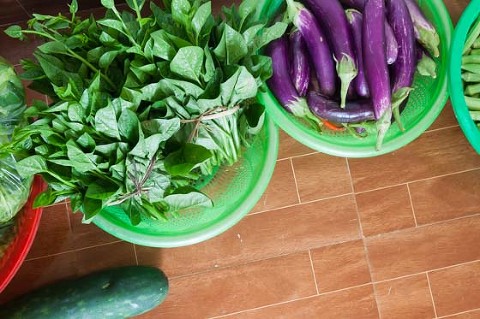 OGCDC Organic Farm for youths with disabilities fresh vegetables