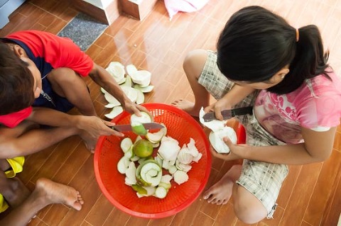 Preparing fruit for meals OGCDC Organic Farm for youths with disabilities