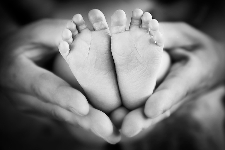 Newborn little feet Photography