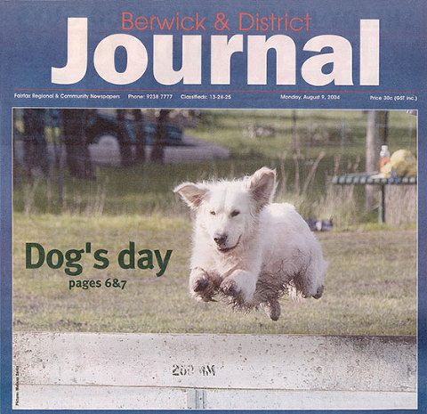 Oscar on the front page of the newspaper jumping over a hurdle at training